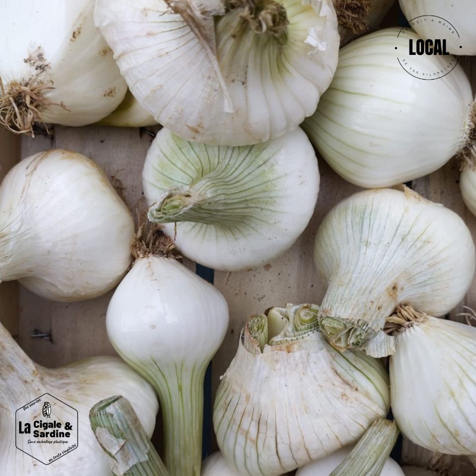 Ail | Cultivé à Roquevaire