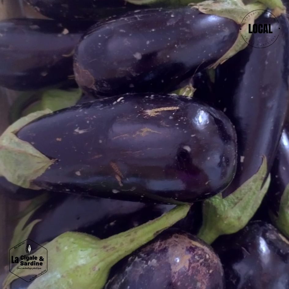 Aubergines cultivées à Roquevaire