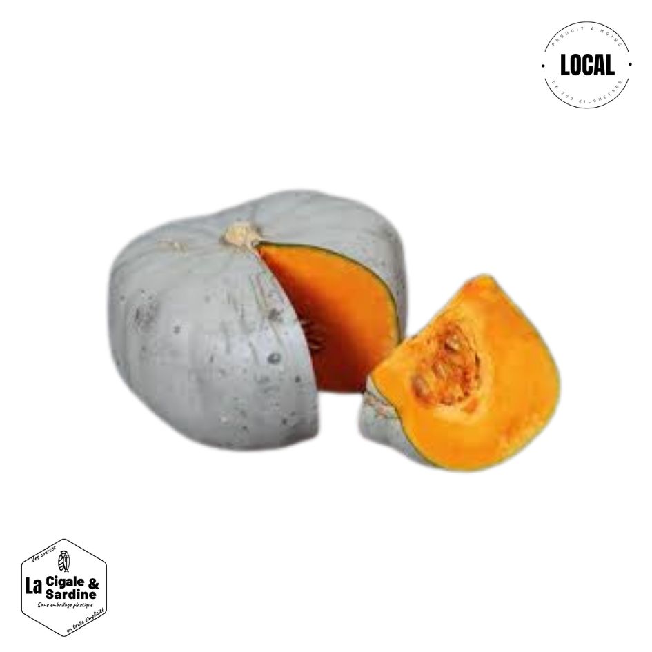 Courge Bleu de Hongrie - Variété ancienne | Cultivée à Roquevaire
