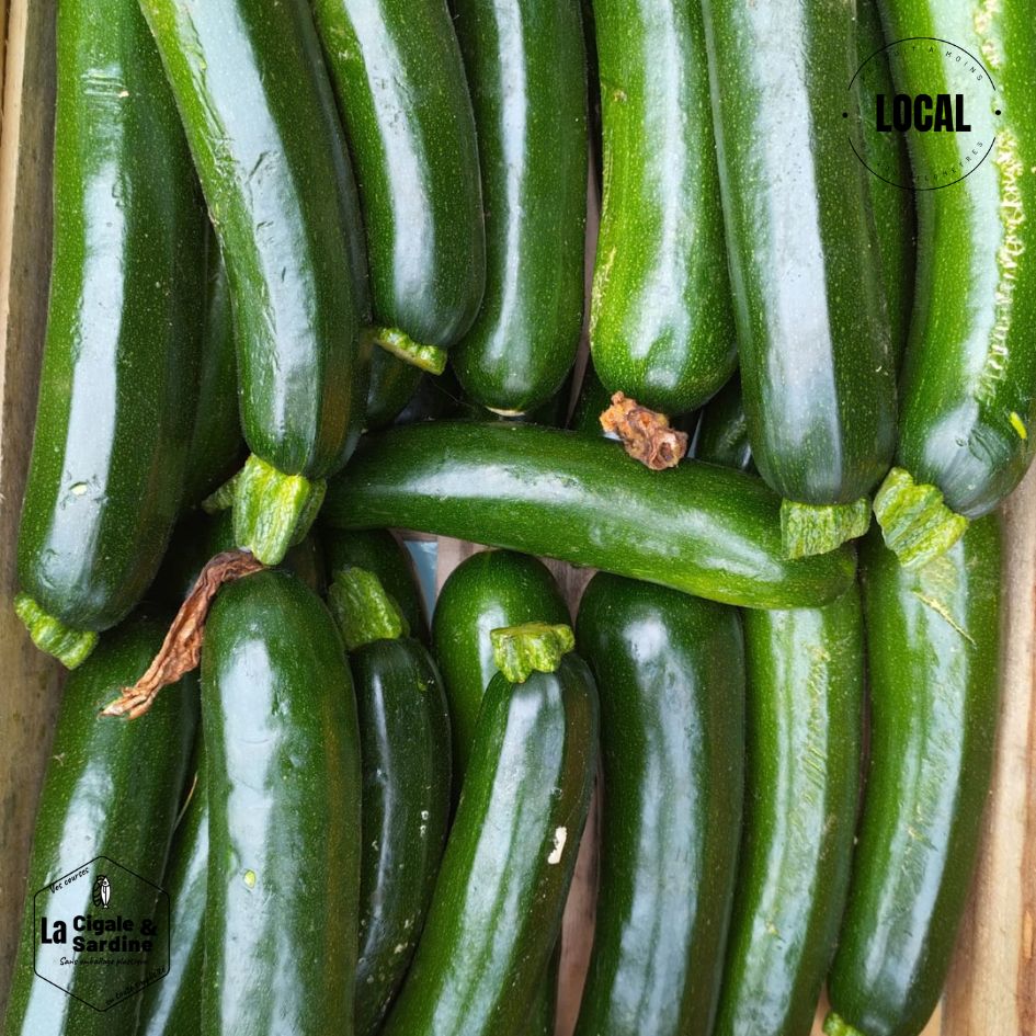 Courgettes | Cultivées à Lascours