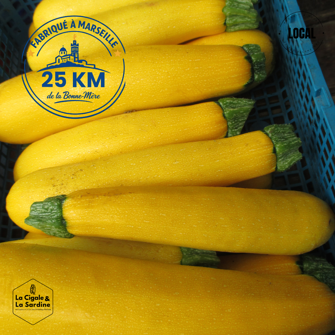 Courgettes Jaunes | Cultivées à Roquevaire en Provence