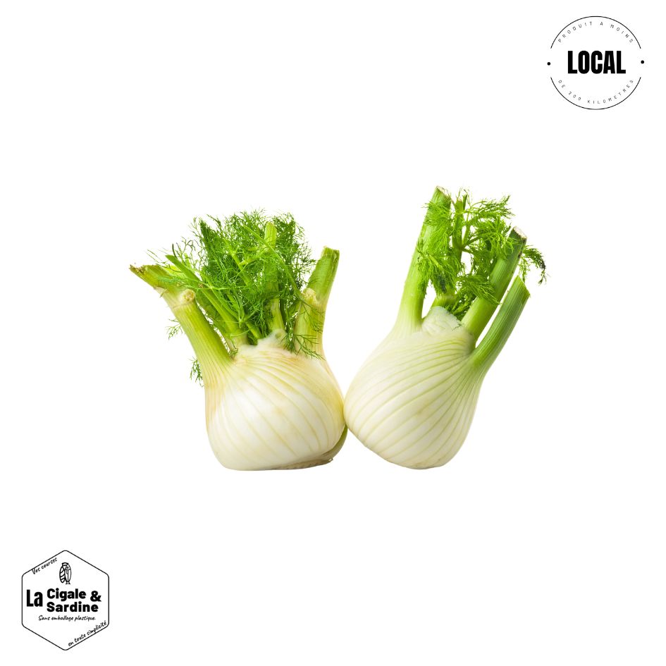 Fenouil|Cultivé à Roquevaire
