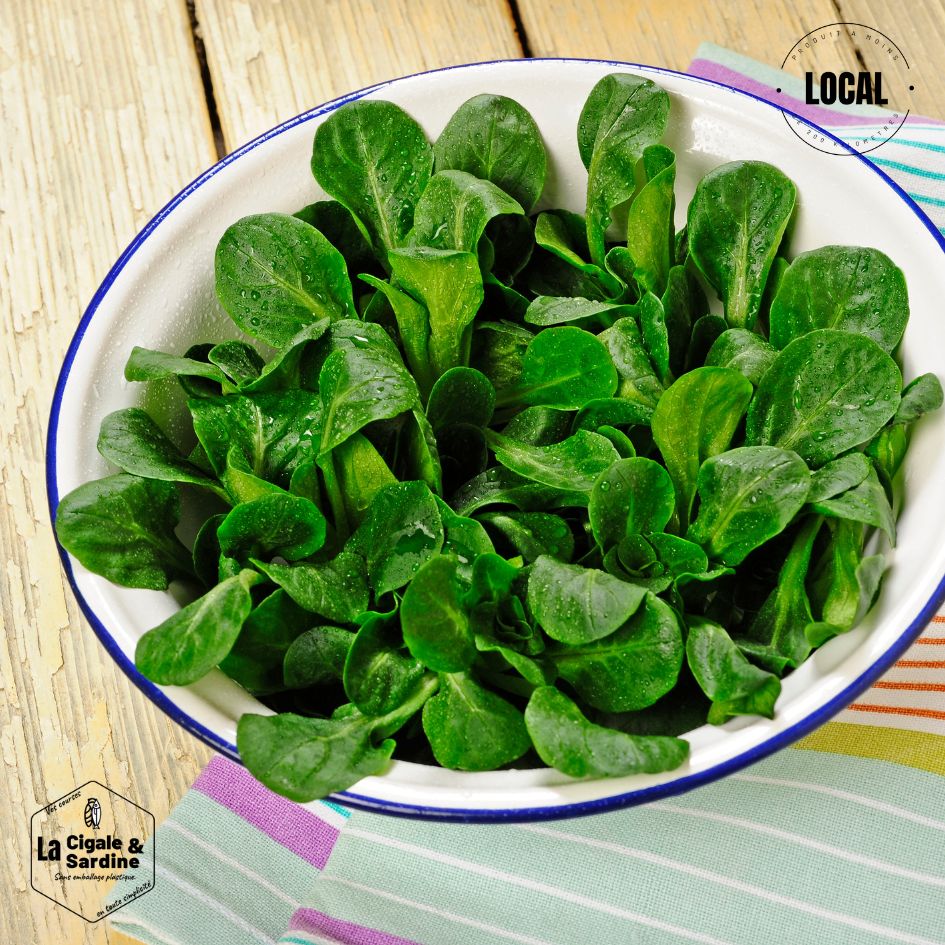 Salade Mâche | Cultivée à Roquevaire