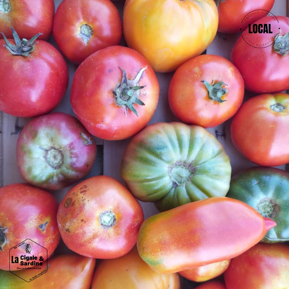 Tomates cultivées en Plein Champs | Cultivées à Aubagne