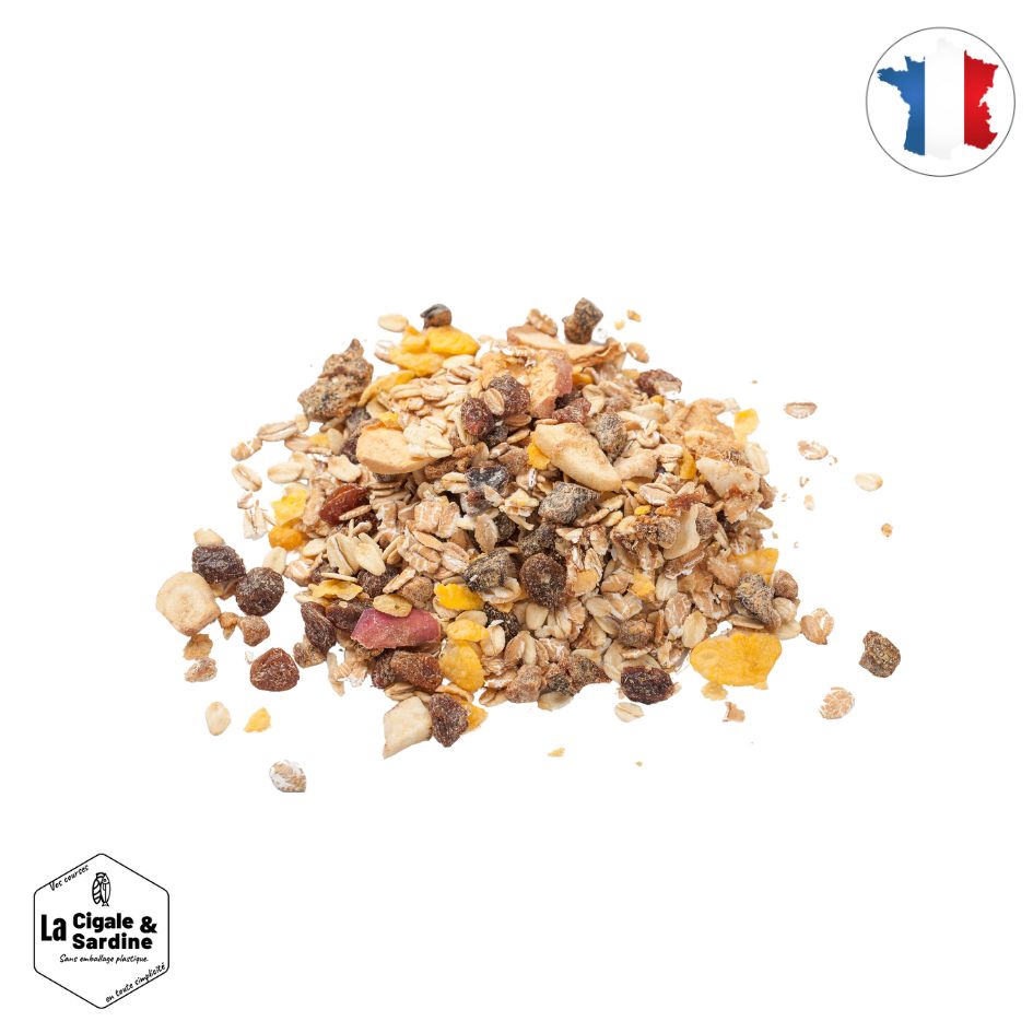 Muesli Fruits Sans Sucre ajouté | Vrac