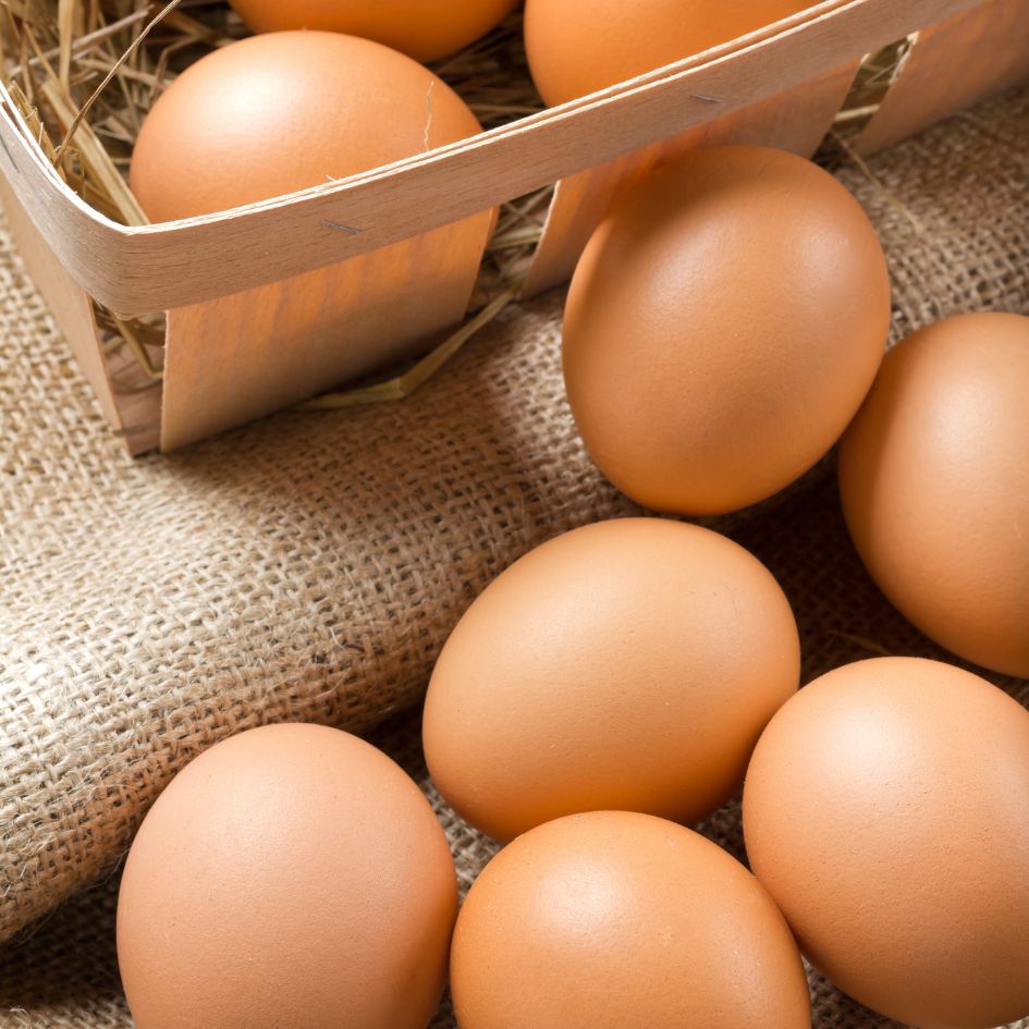 Oeufs de Roquevaire | Plein Air