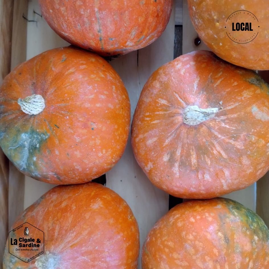 Potimarron (à l'unité) | Cultivé à Roquevaire