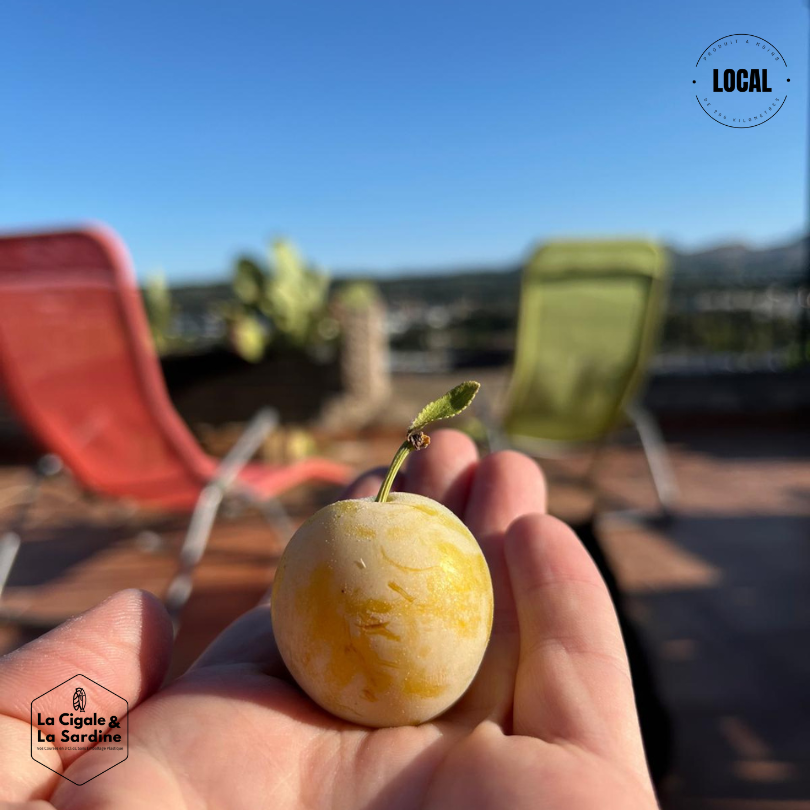 Prunes Reine-Claude | Cultivées à Aubagne