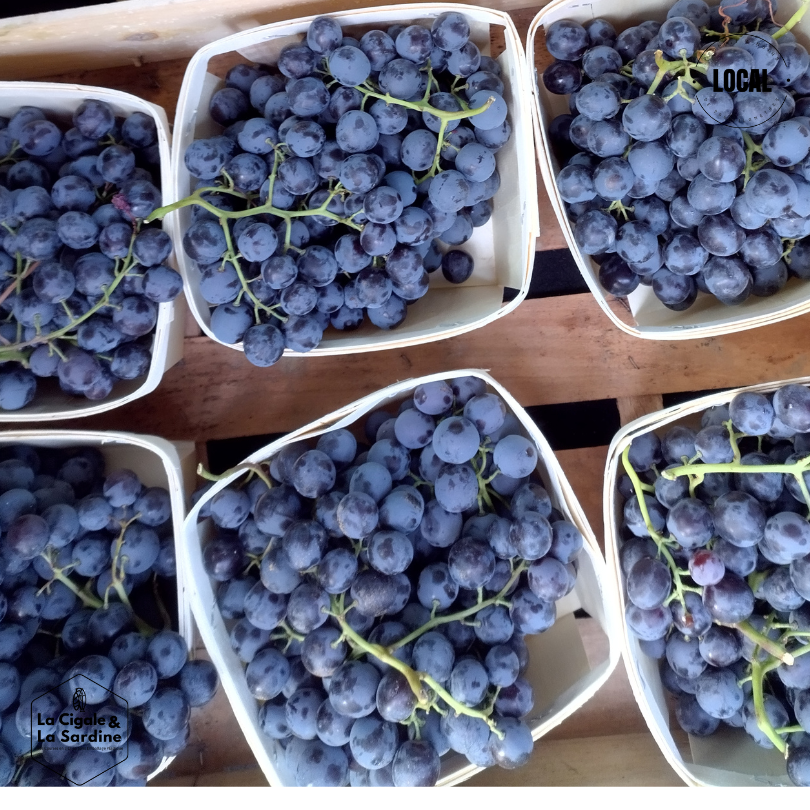 Raisins Muscat