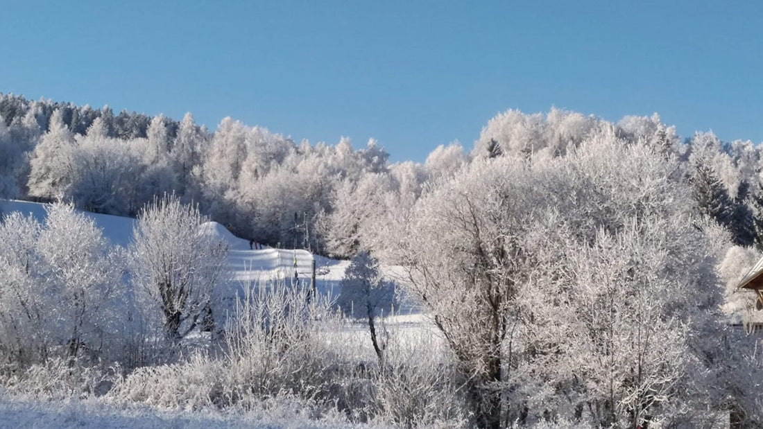 Les BronZ'Héros Déchets font du Ski