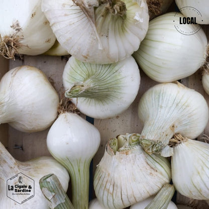 Ail | Cultivé à Roquevaire