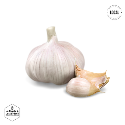 Ail | Cultivé à Roquevaire