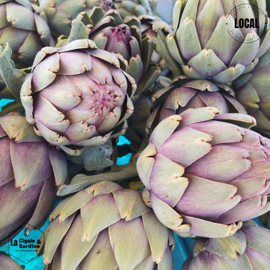 Artichaut | A l'unité - Cultivé à Aubagne