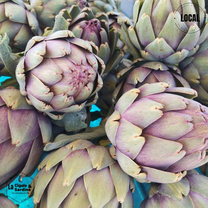 Artichaut | A l'unité - Cultivé à Aubagne