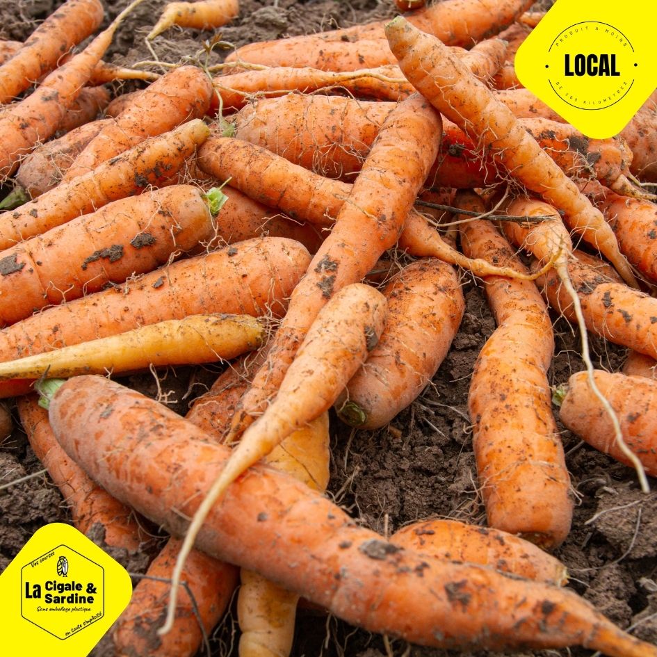 Carottes