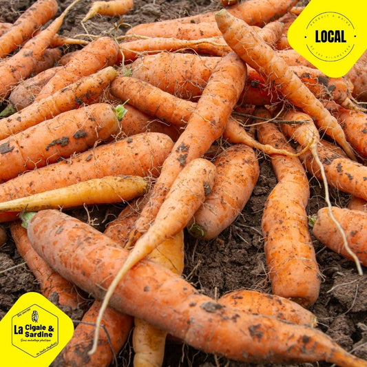 Carottes