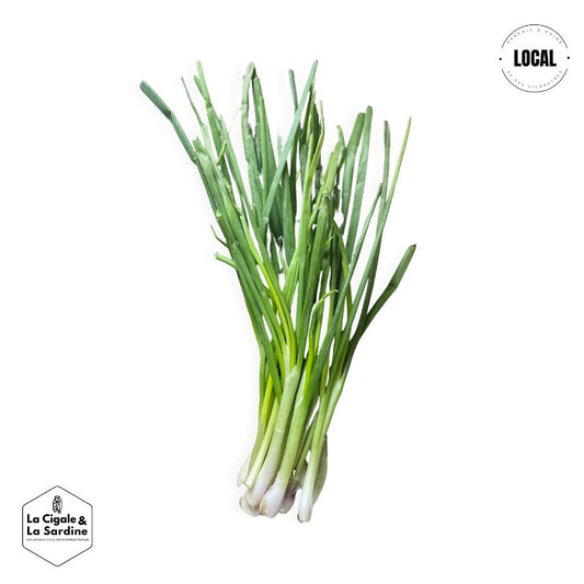 Cébettes - Cultivés à Roquevaire