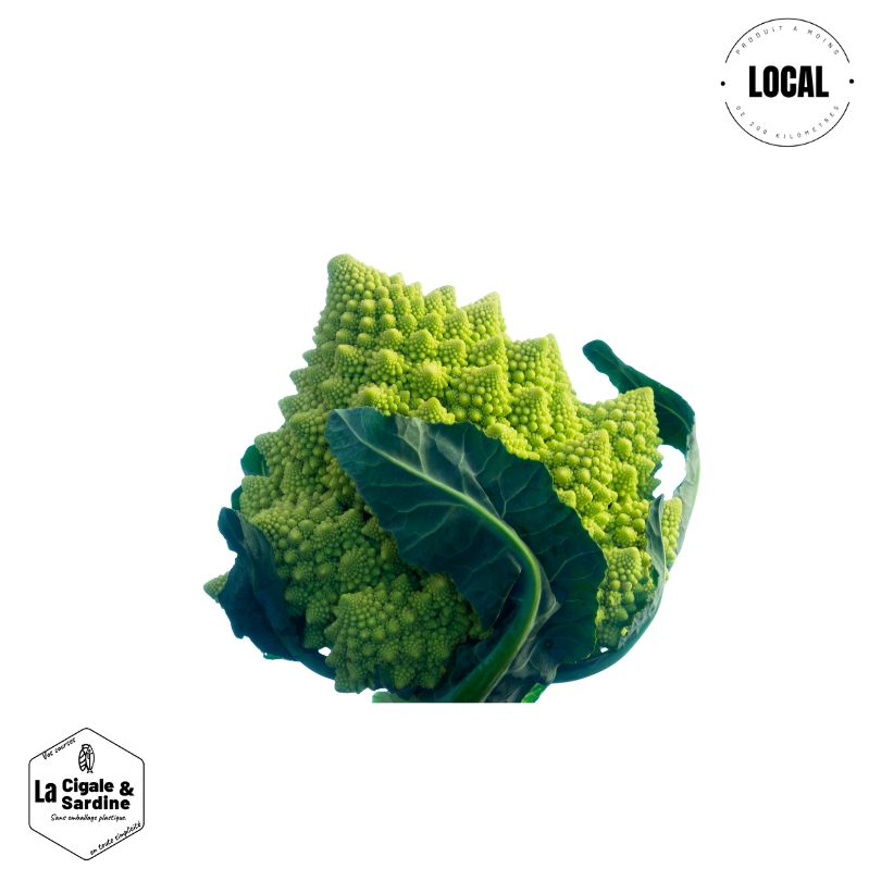 Chou Romanesco - A l'unité｜Cultivé à Aubagne