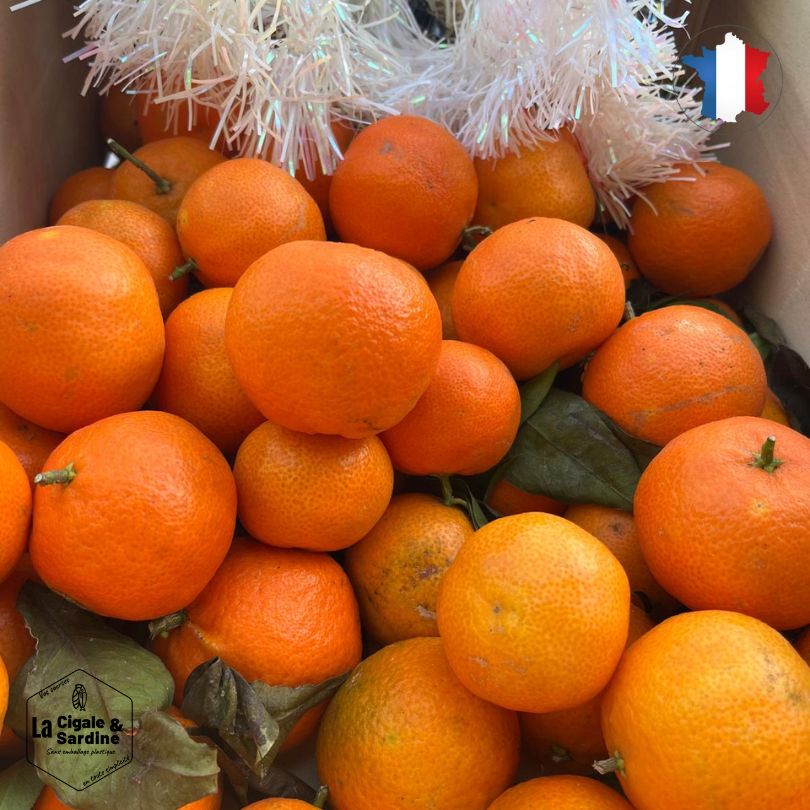Clémentines IGP Corses BIO - Transportées en Voilier