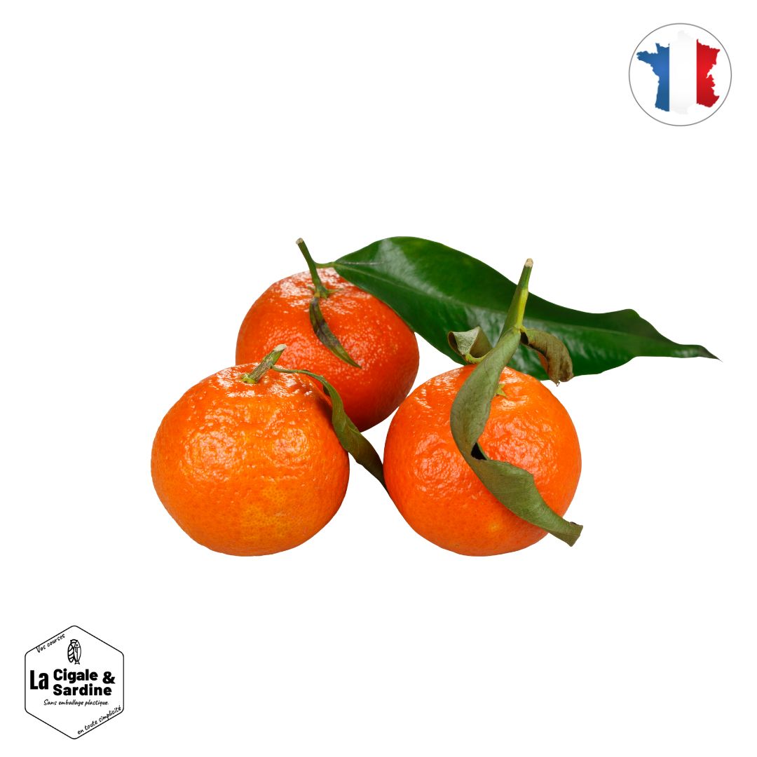 Clémentines IGP Corses BIO - Transportées en Voilier