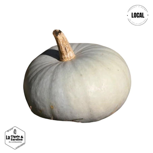 Courge Bleu de Hongrie | Variété ancienne | Cultivée à Aubagne