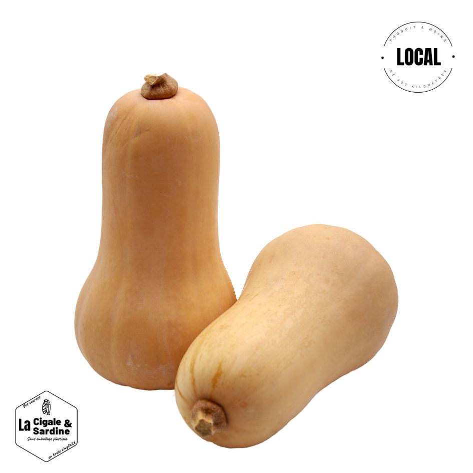 Courge Butternut (à l'unité) | Cultivée à Aubagne