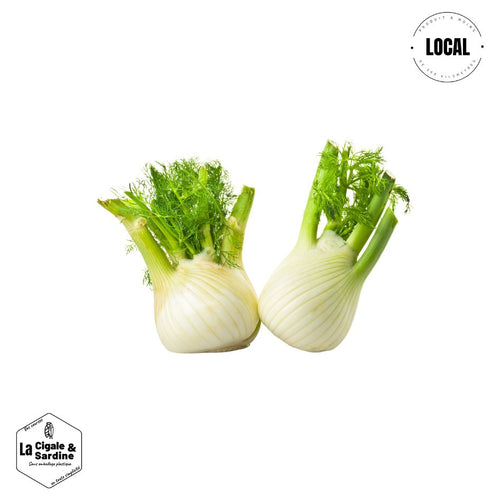 Fenouil｜Cultivé à Roquevaire