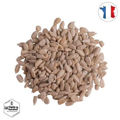 Graines de Tournesol Décortiquées - Vrac  Origine Sud-Ouest