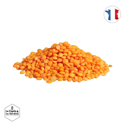 Lentilles corail BIO en Vrac | Cultivées en France