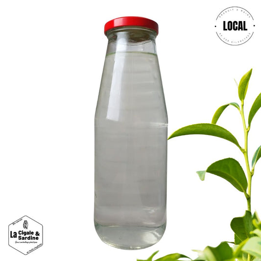 Liquide Vaisselle au Tea Tree | 700ml