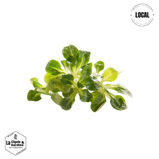 Salade Mâche | Cultivée à Roquevaire