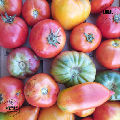 Tomates cultivées en Plein Champs | Cultivées à Aubagne