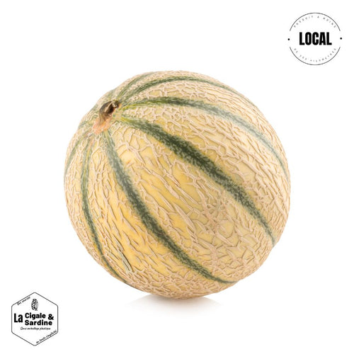 Melon | Cultivé à Berre
