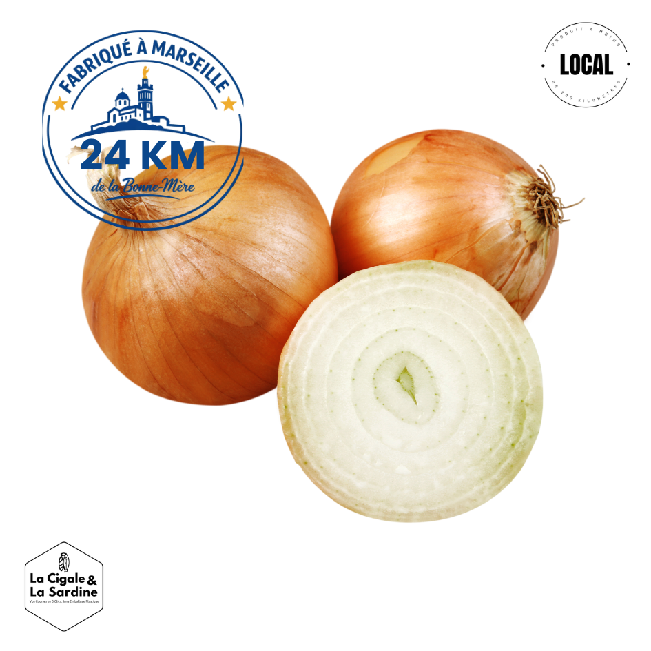 Oignon Jaune Bio | Cultivé à Lascours