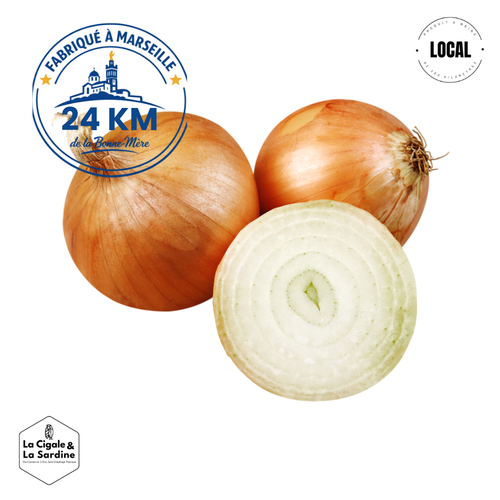 Oignon Jaune Bio | Cultivé à Lascours