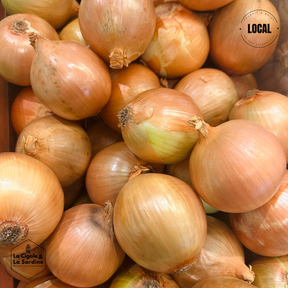 Oignon Jaune Bio | Cultivé à Lascours