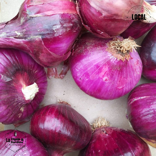 Oignon Rouge Frais | Cultivé à Aubagne