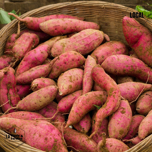 Patates Douces à chair orangée et à peau rose | Cultivées à Aubagne