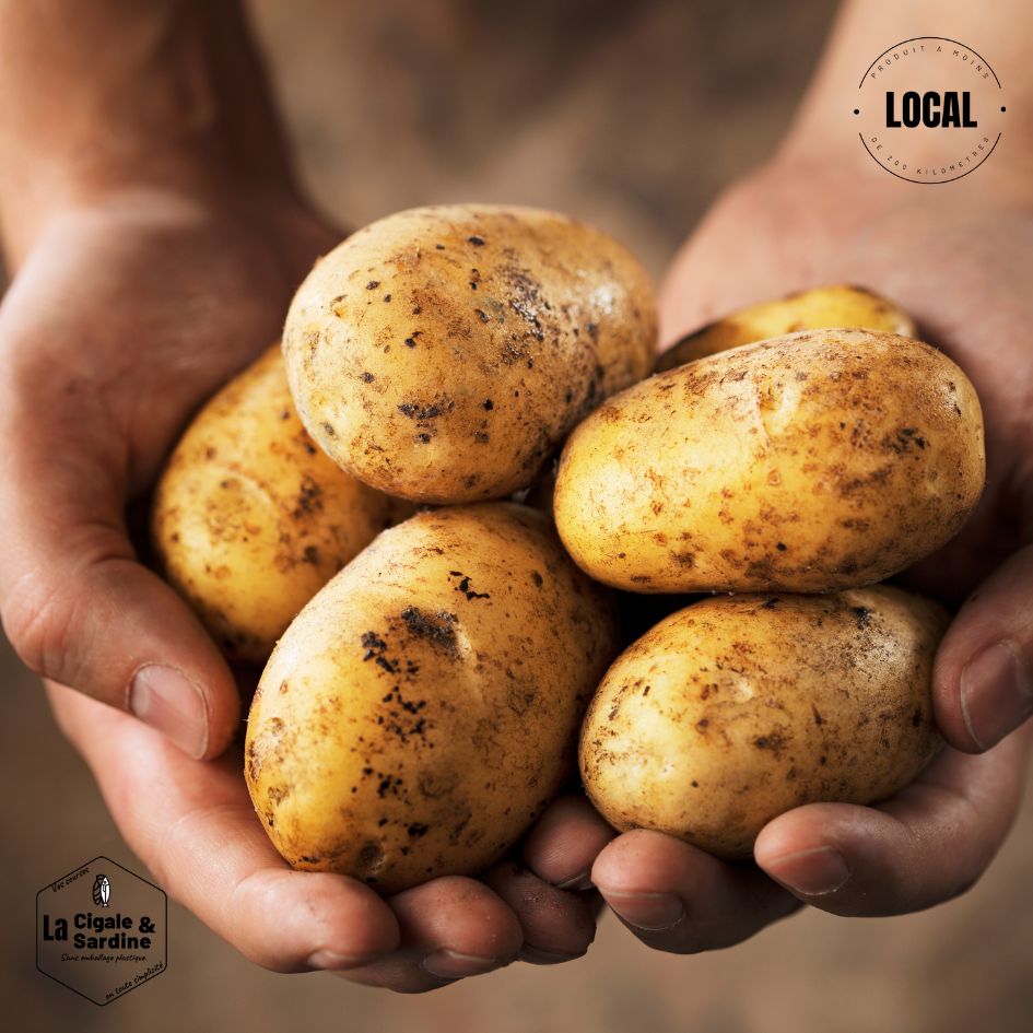 Pommes de terre Cultivées à Aubagne