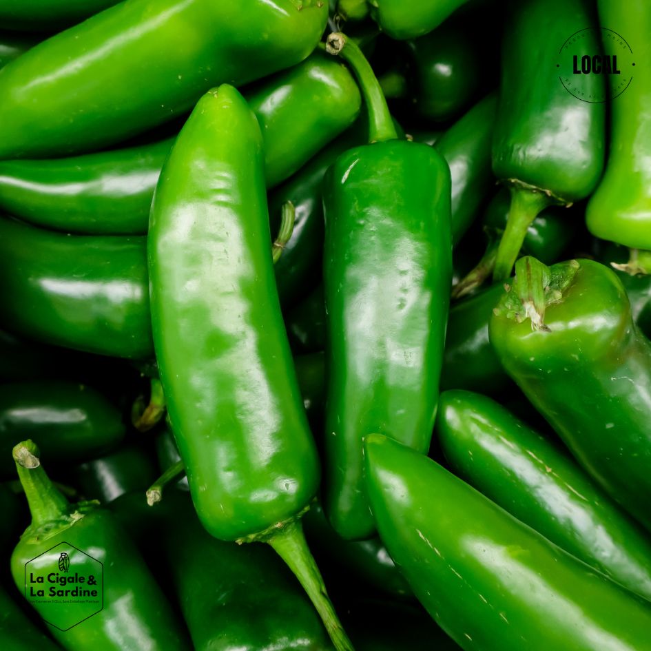 Poivron Vert Petit Marseillais - Petit poivron fin | Cultivé à Roquevaire
