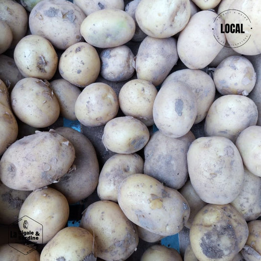 Pommes de terre Cultivées à Aubagne