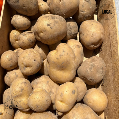 Pommes de terre | Cultivées à Aubagne
