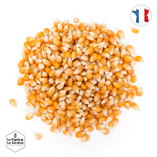 Maïs Pop Corn - Vrac | Origine France