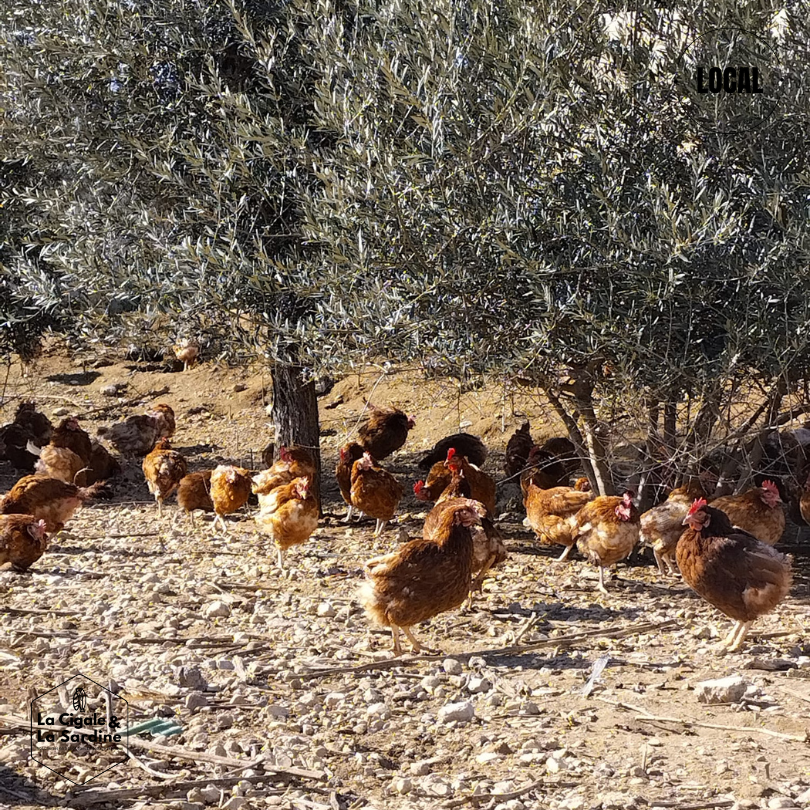 Oeufs de Roquevaire | Plein Air