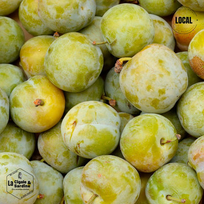 Prunes Reine-Claude | Cultivées à Aubagne