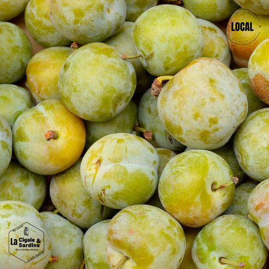 Prunes Reine-Claude | Cultivées à Aubagne