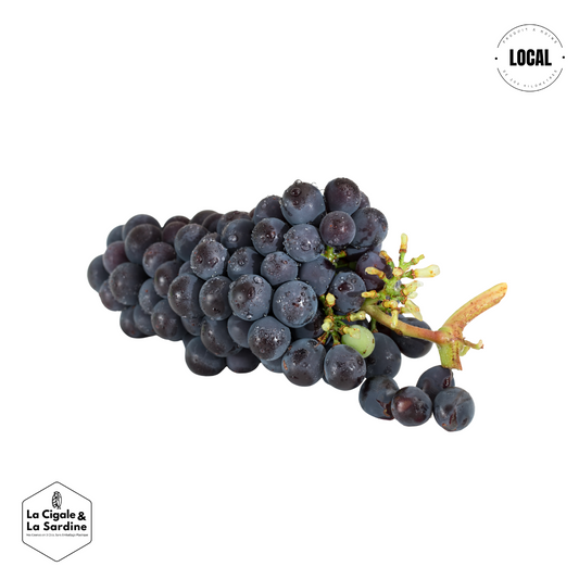 Raisins Muscat