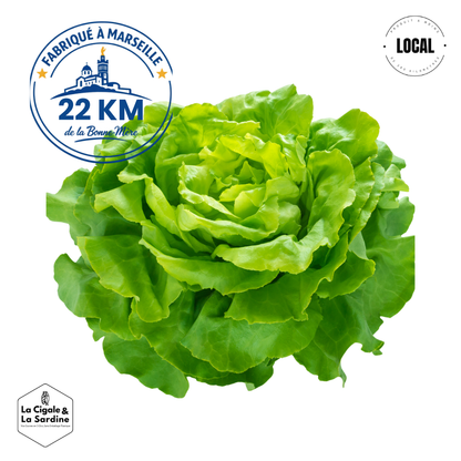 Salade Verte - Cultivée à Roquevaire