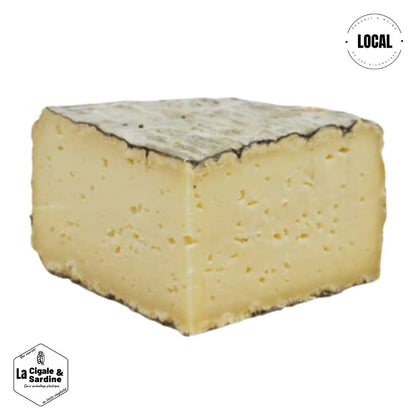 Taillon Fromage Moelleux du Champsaur | Lait de Vache