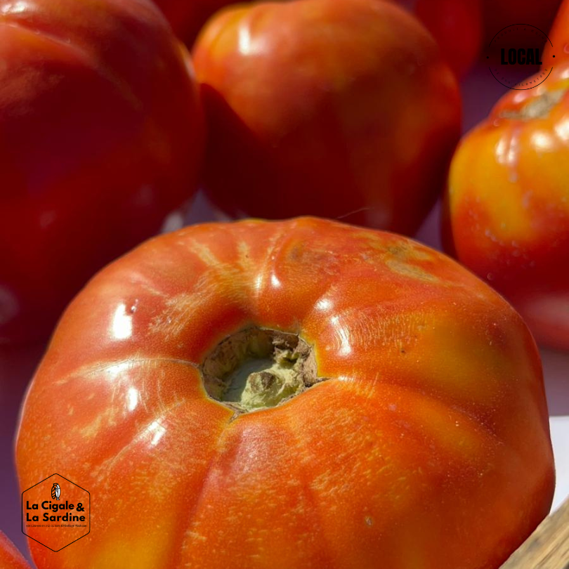Tomates cultivées en Plein Champs | Cultivées à Aubagne